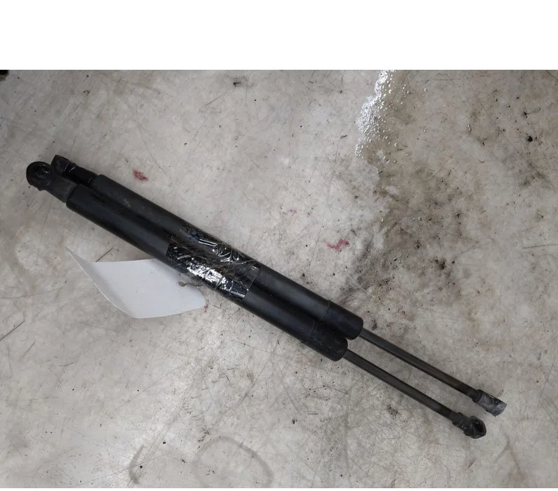 LOT VERIN HAYON/COFFRE BMW SERIE 2 51247304556