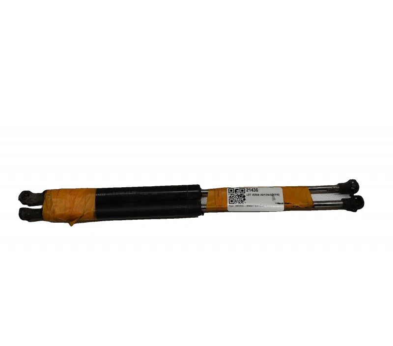 LOT VERIN HAYON/COFFRE RENAULT CLIO 7700842256