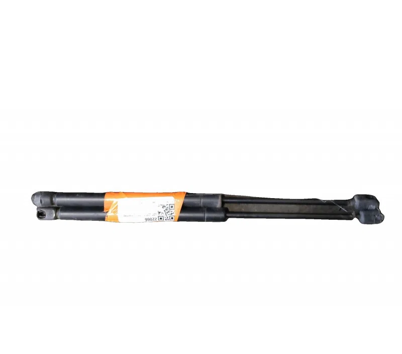 LOT VERIN HAYON/COFFRE RENAULT CLIO 7700842256
