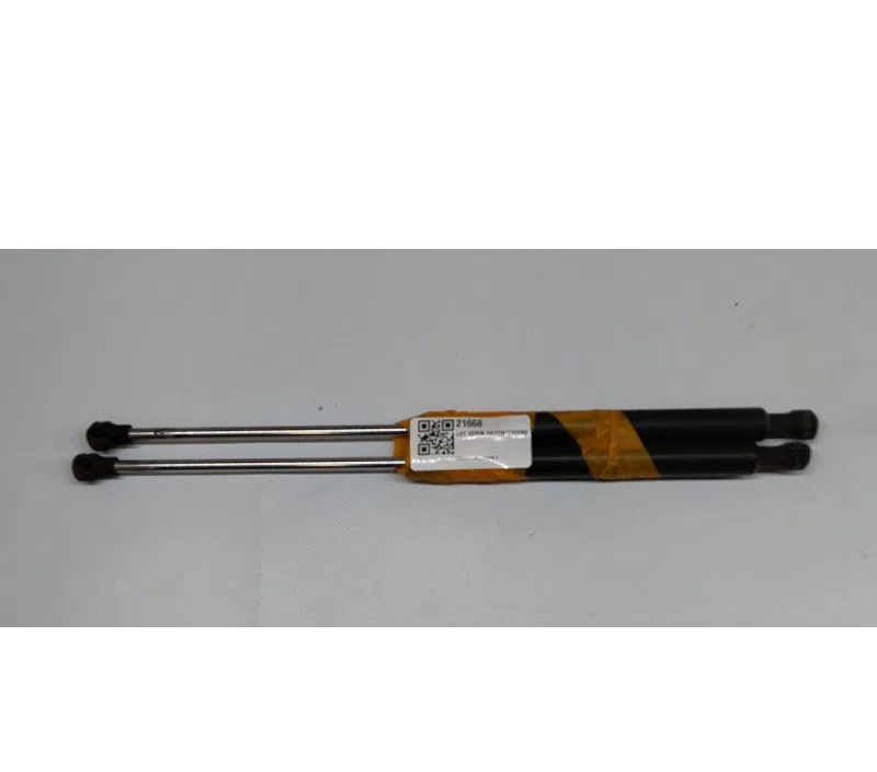 LOT VERIN HAYON/COFFRE RENAULT CLIO II 7700842256