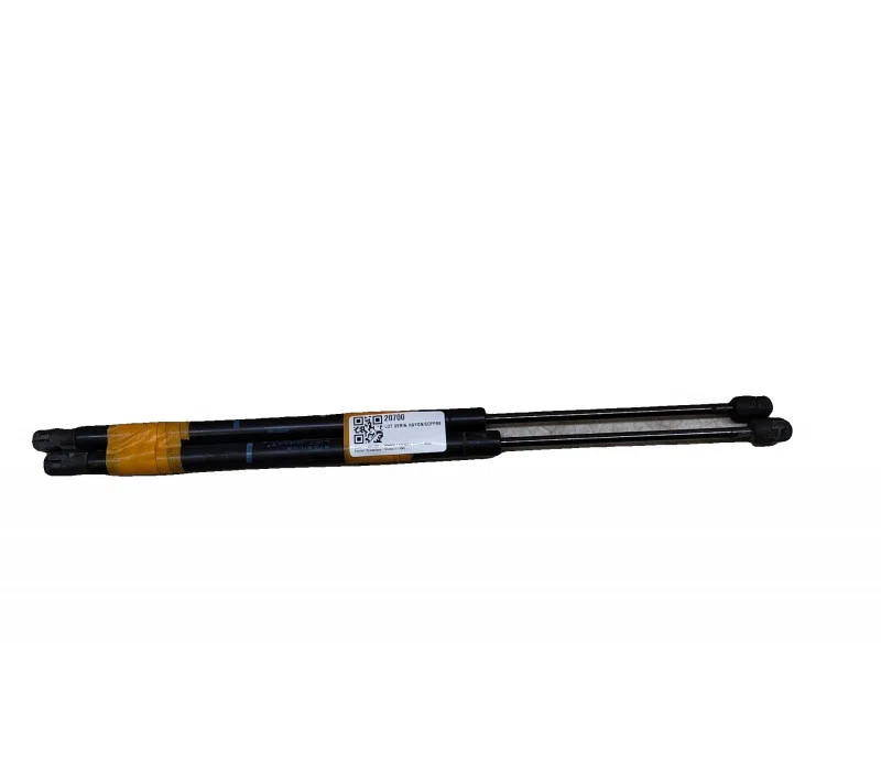 LOT VERIN HAYON/COFFRE RENAULT SCENIC I 8200377199