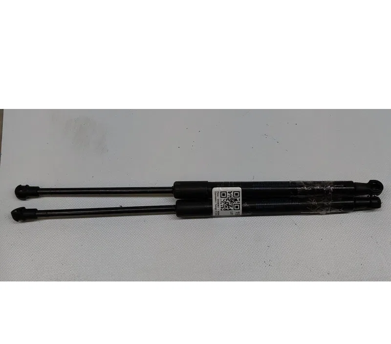 LOT VERIN HAYON/COFFRE RENAULT TWINGO II 8200385560