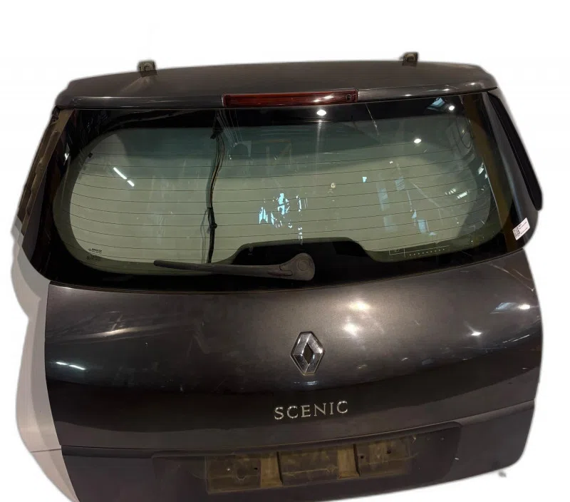 MALLE / HAYON / COFFRE RENAULT SCENIC I 901001629R