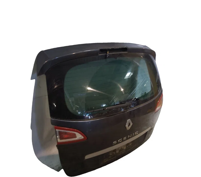 MALLE / HAYON / COFFRE RENAULT SCENIC III 901001385R