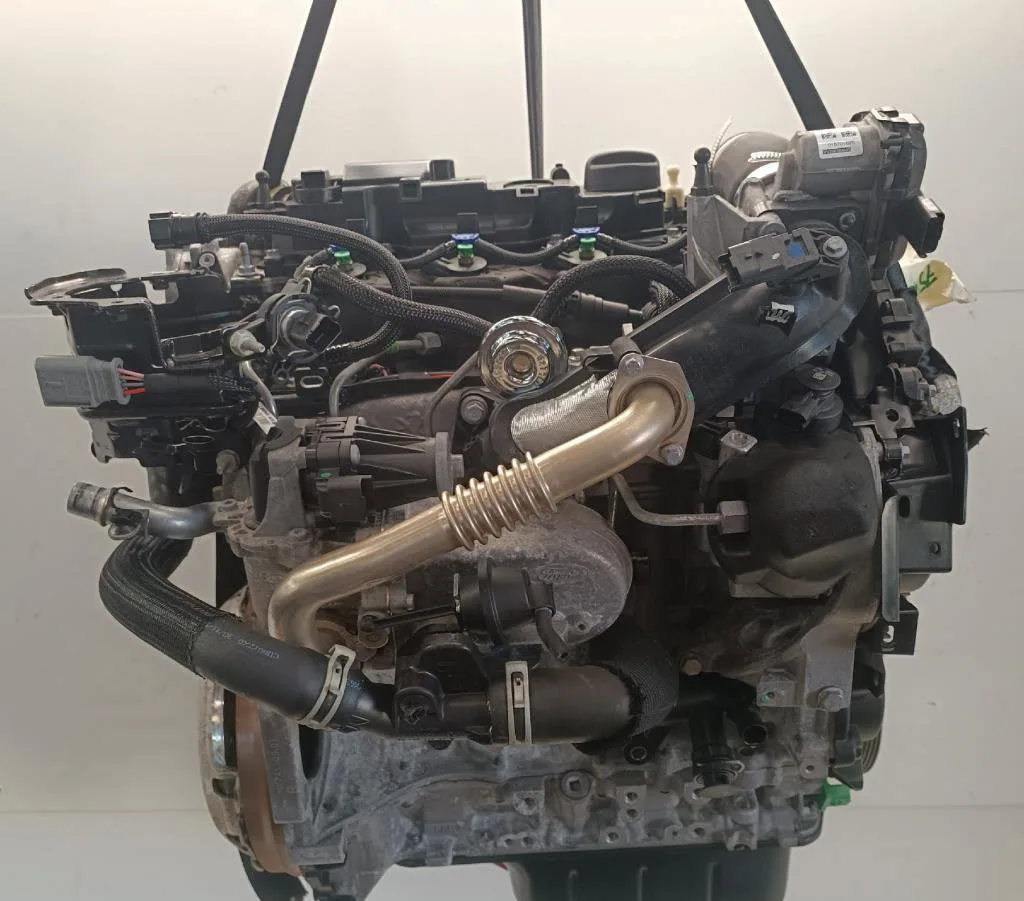Moteur complet Ford FIESTA VI (CB1, CCN) 1.5 tdci (2012-2017) occasion