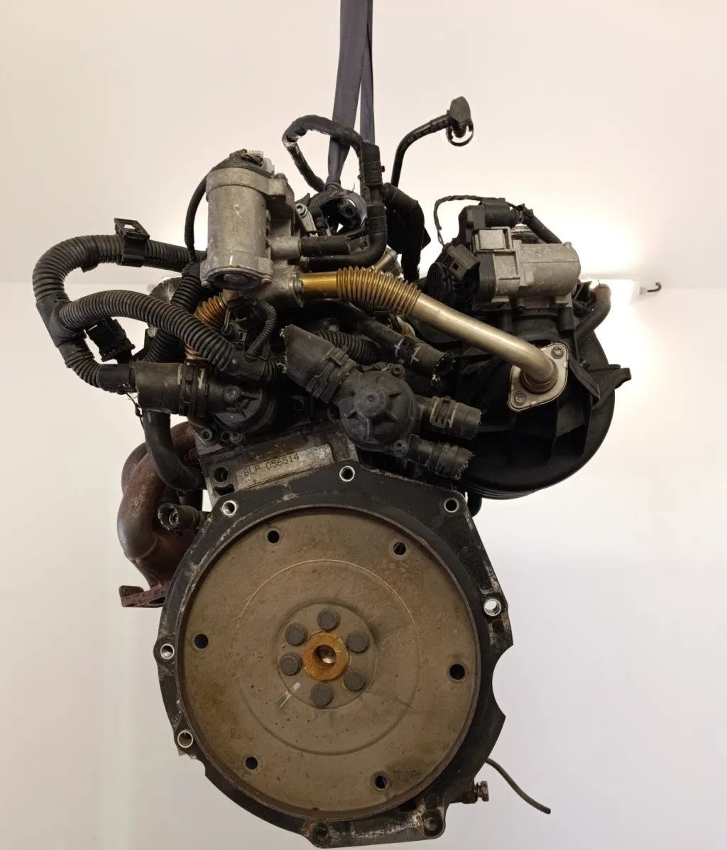 Moteur complet Volkswagen GOLF V (1K1) 1.9 tdi (2003-2008) 5 portes occasion