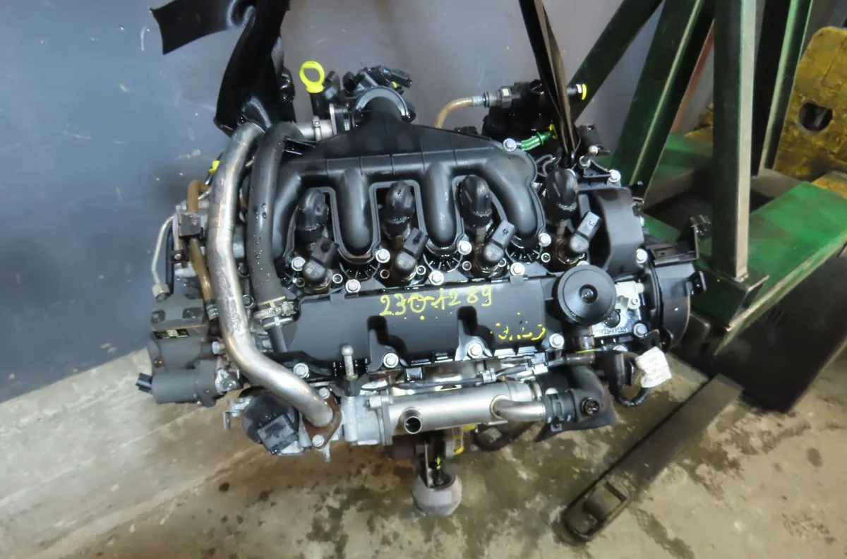 Moteur diesel FORD FOCUS 2009 occasion