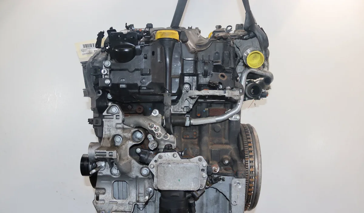 Moteur diesel Renault CLIO V (B7_) 1.5 blue dci 100 (b7ad) (2021) occasion