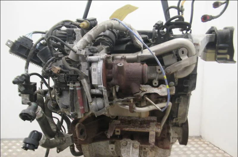 Moteur diesel Renault KANGOO - GRAND KANGOO II (KW0-1_) 1.5 dci 75 (kw07, kw10, kw04) (2012) occasion