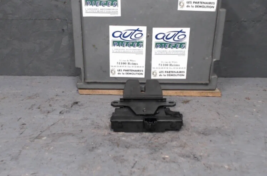 Moteur electrique de hayon-coffre FORD C-MAX 1  C-MAX 1 PHASE 1 occasion