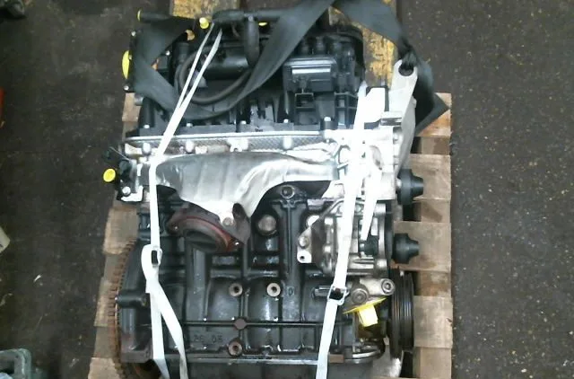 Moteur essence Dacia SANDERO II 1.2 lpg (2012) occasion