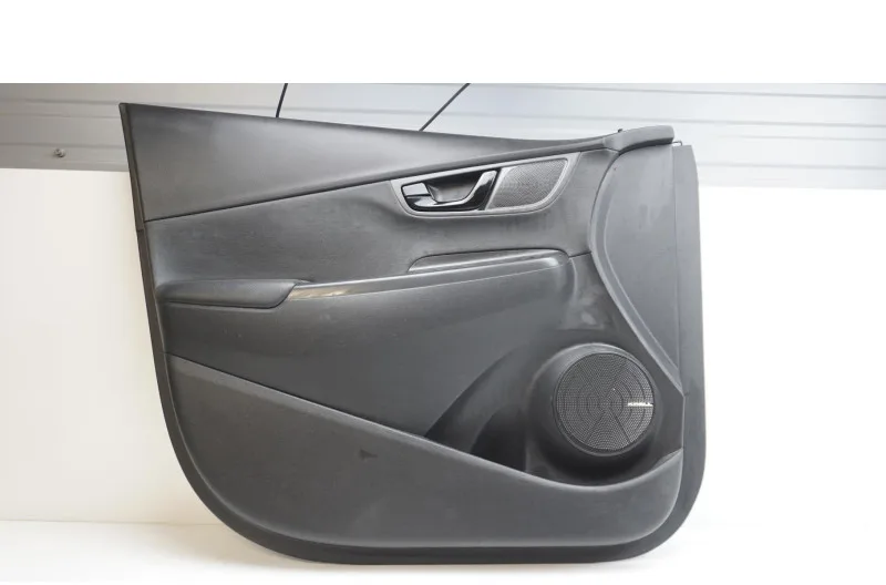 Panneau de porte avant gauche pour HYUNDAI KONA PHASE 1