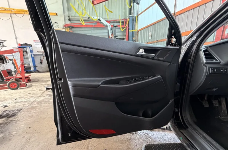 Panneau de porte avant gauche pour HYUNDAI TUCSON 2 PHASE 1
