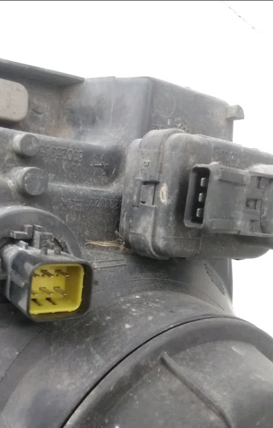 Phare droit Land rover FREELANDER I (L314) 2.0 td4 4x4 (2000-2006) occasion