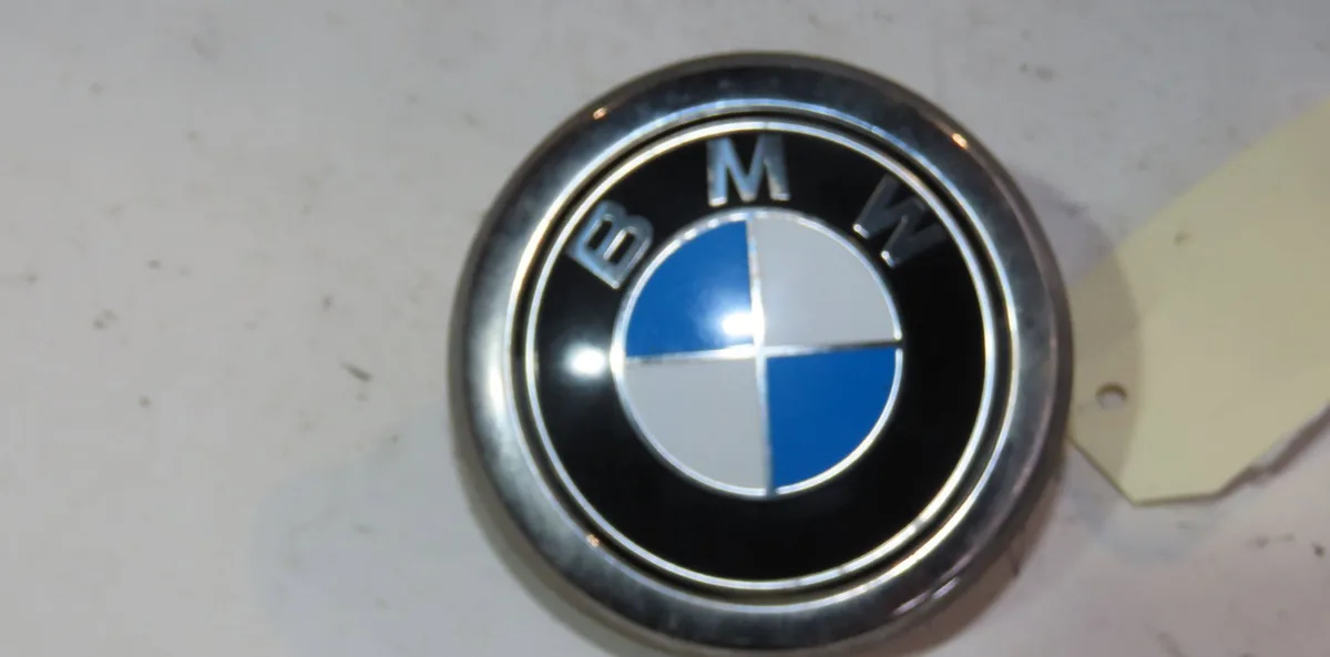Poignee ext hayon Bmw 1 (F20) 120 d (2011-2015) occasion