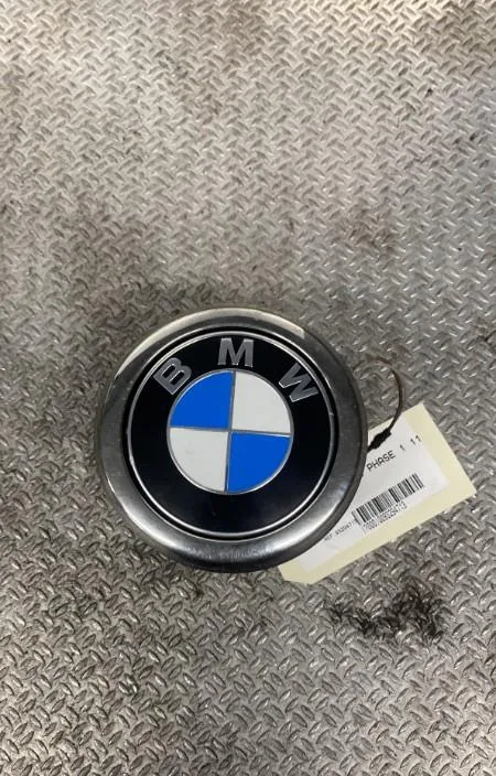 Poignee ext hayon BMW SERIE 1 F20  SERIE 1 F20 PHASE 1 occasion