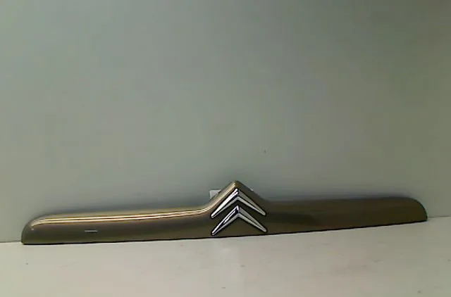 Poignee ext hayon CITROEN XSARA 2003 occasion