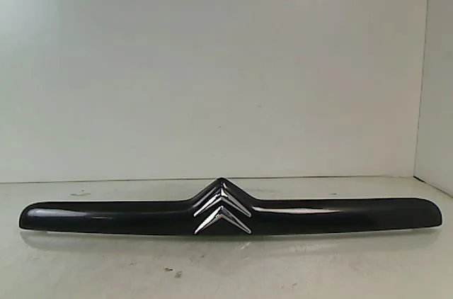 Poignee ext hayon CITROEN XSARA 2004 occasion