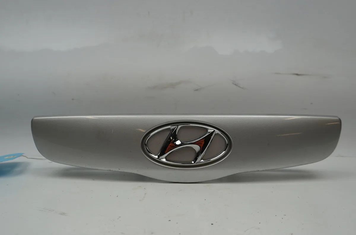 Poignee ext hayon Hyundai GETZ (TB) 1.1 (2002-2005) occasion