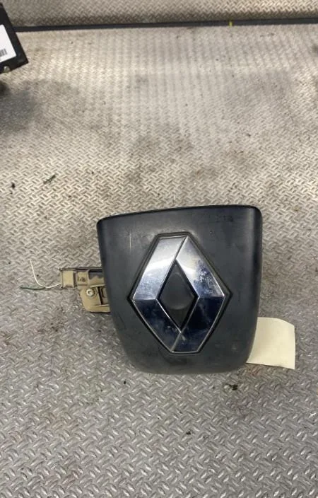 Poignee ext hayon RENAULT CLIO 2  0 occasion