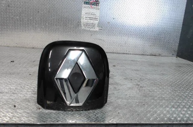 Poignee ext hayon Renault CLIO II (BB_, CB_) 1.5 dci (b-c2j) (2004-2012) occasion