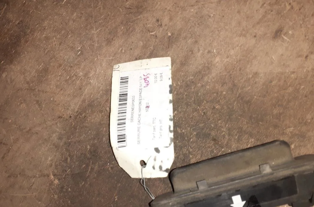 Poignee ext hayon Renault ESPACE IV (JK0-1_) 2.2 dci (jk0h) (2002-2006) occasion