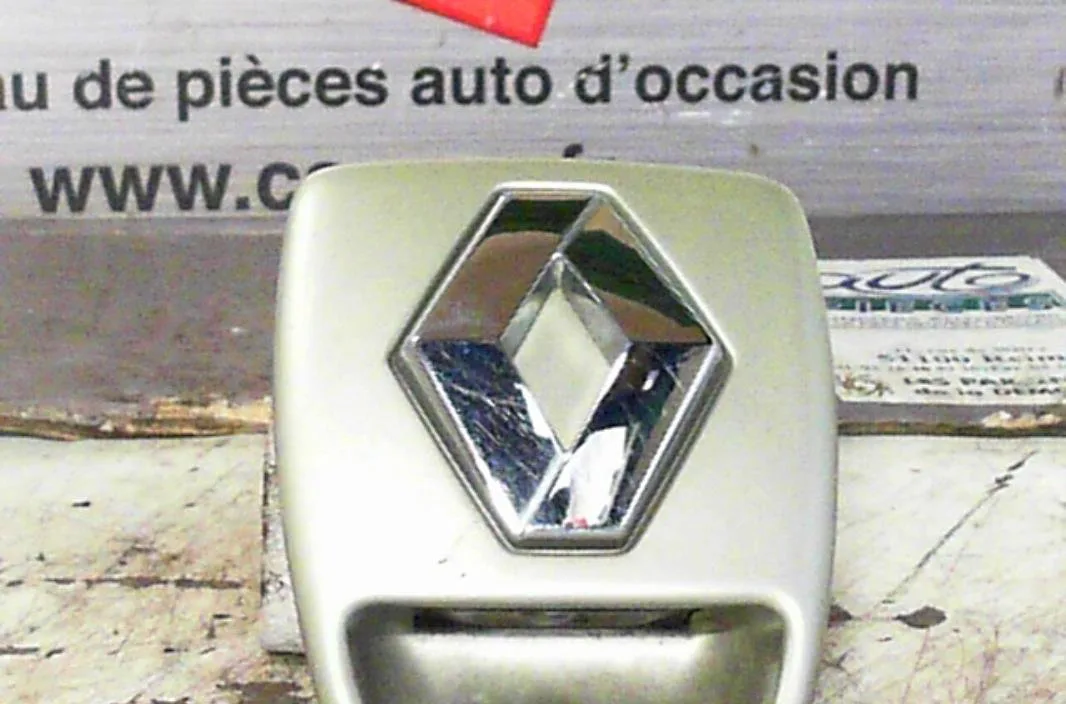 Poignee ext hayon Renault LAGUNA II (BG0-1_) 1.9 dci (bg08, bg0g) (2001-2007) occasion