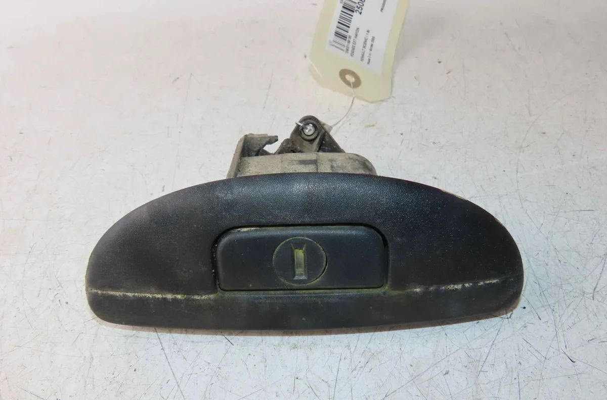 Poignee ext hayon RENAULT SCENIC  I occasion
