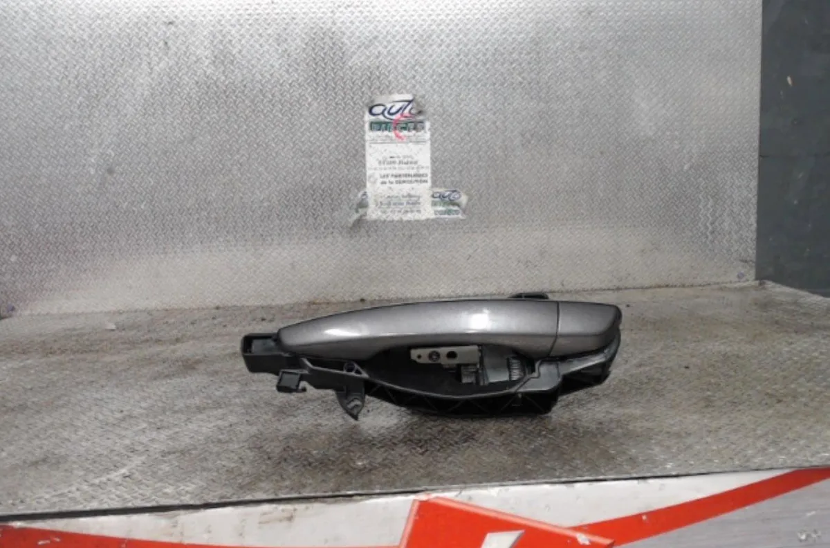Poignee ext porte ard CITROEN C3 3  C3 3 occasion