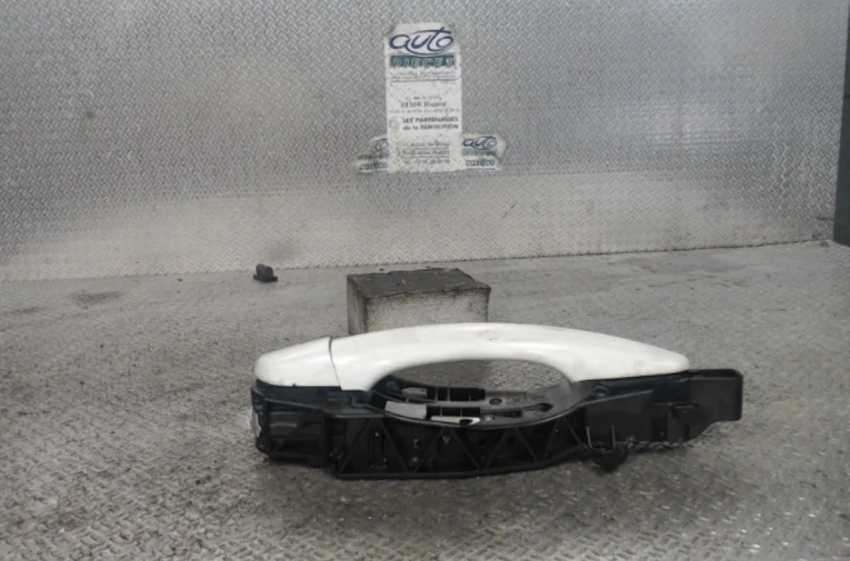 Poignee ext porte ard CITROEN C3 3  C3 3 PHASE 1 occasion