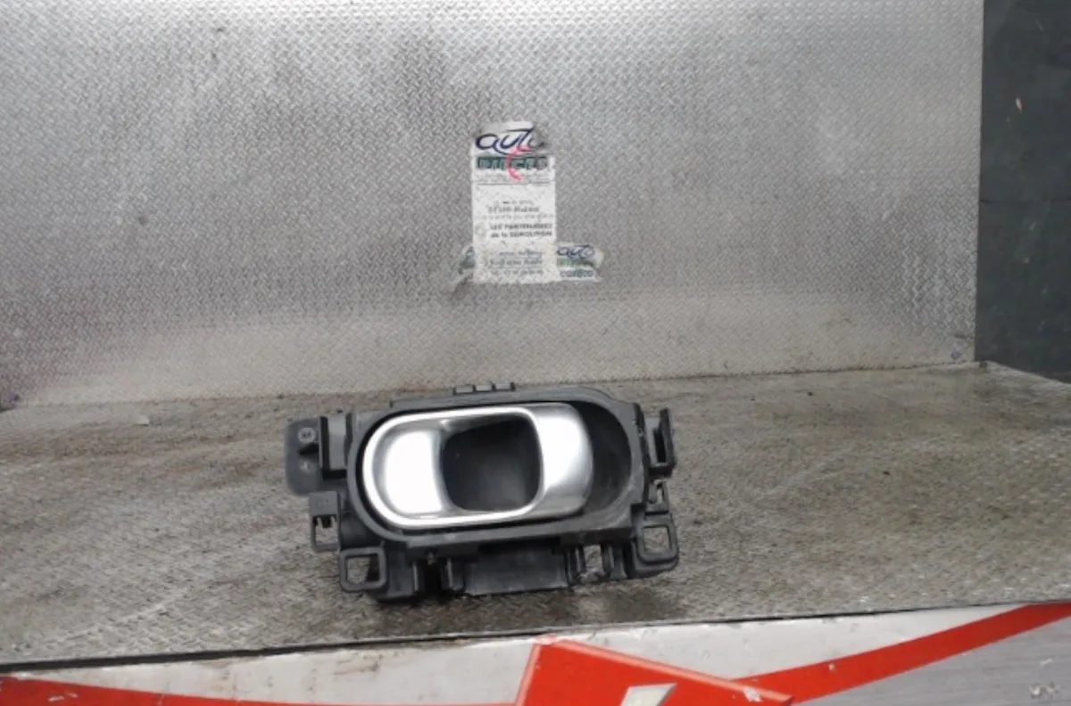 Poignee ext porte avg CITROEN C3 3 C3 3 occasion