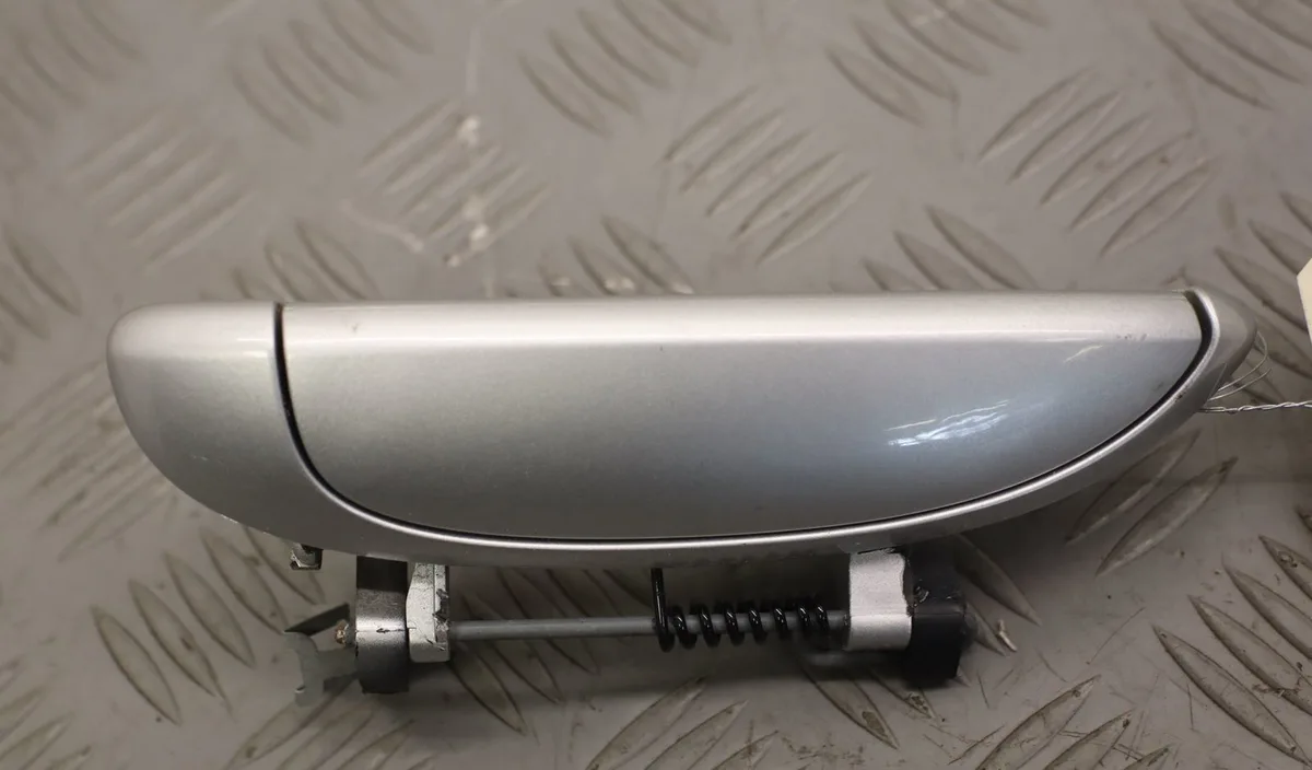 Poignee ext porte avg Renault CLIO II (BB_, CB_) 1.2 (bb0a, bb0f, bb10, bb1k, bb28, bb2d, bb2h, cb0a,... (1998-2010) 5 p