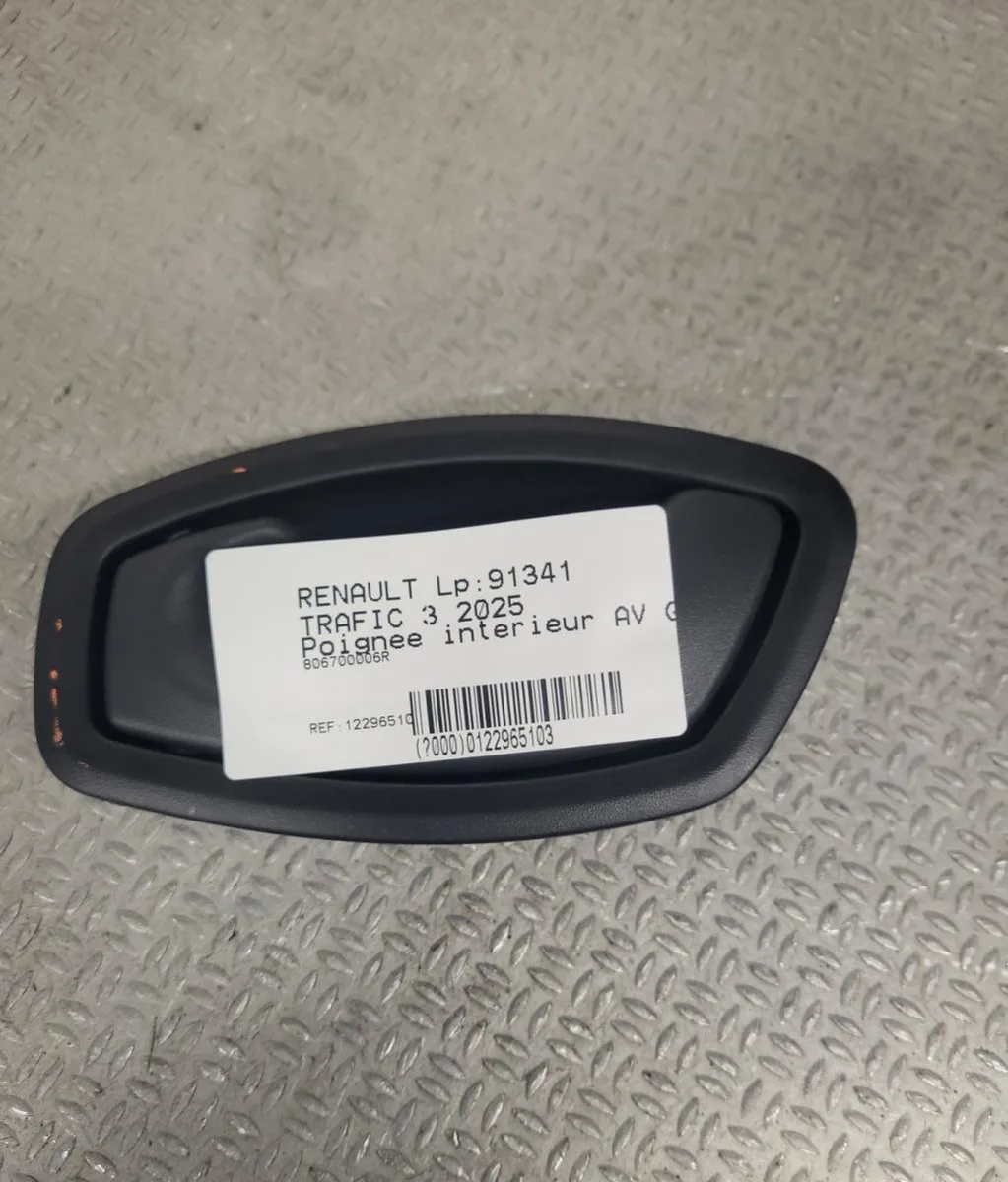 Poignee int porte avg RENAULT TRAFIC 3  0 occasion