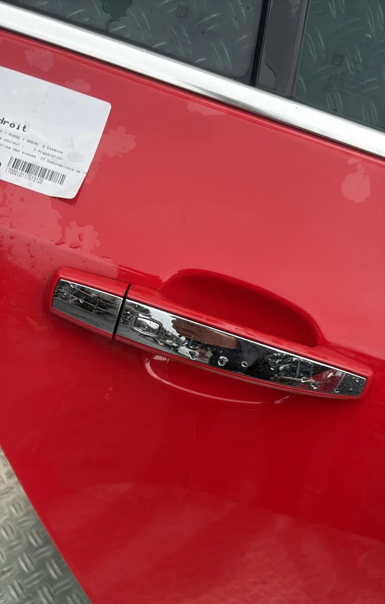 Porte arrière droite Opel INSIGNIA A Sports Tourer (G09) 2.0 turbo 4x4 (35) (2011-2013) occasion