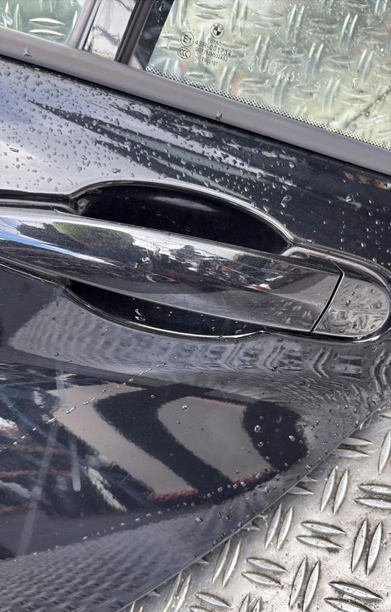 Porte arrière gauche Bmw 1 (F20) 120 d xdrive (2012-2015) occasion