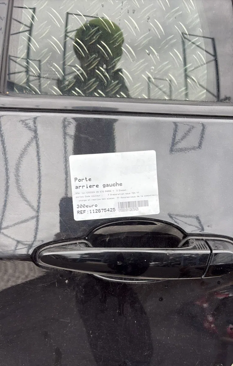 Porte arrière gauche Bmw X5 (E70) Xdrive 35 d (2008-2013) occasion