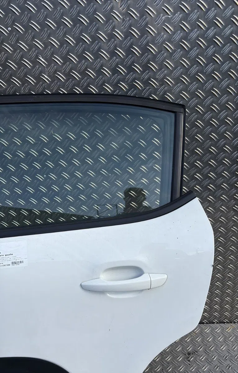 Porte arrière gauche Citroen C3 III (SX) 1.6 bluehdi 100 (2016) occasion