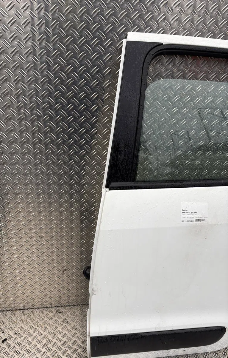 Porte arrière gauche Citroen C3 PICASSO (SH_) 1.6 hdi (2009) 5 portes occasion