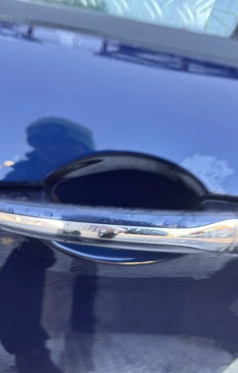 Porte arrière gauche Citroen C5 III (RD_) 2.0 hdi (rdrhda) (2008) occasion