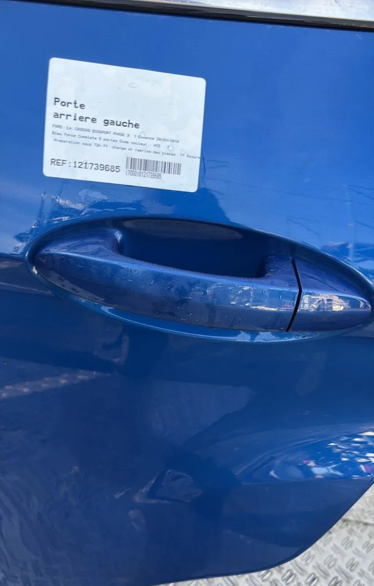 Porte arrière gauche Ford ECOSPORT 1.0 ecoboost (2013) occasion
