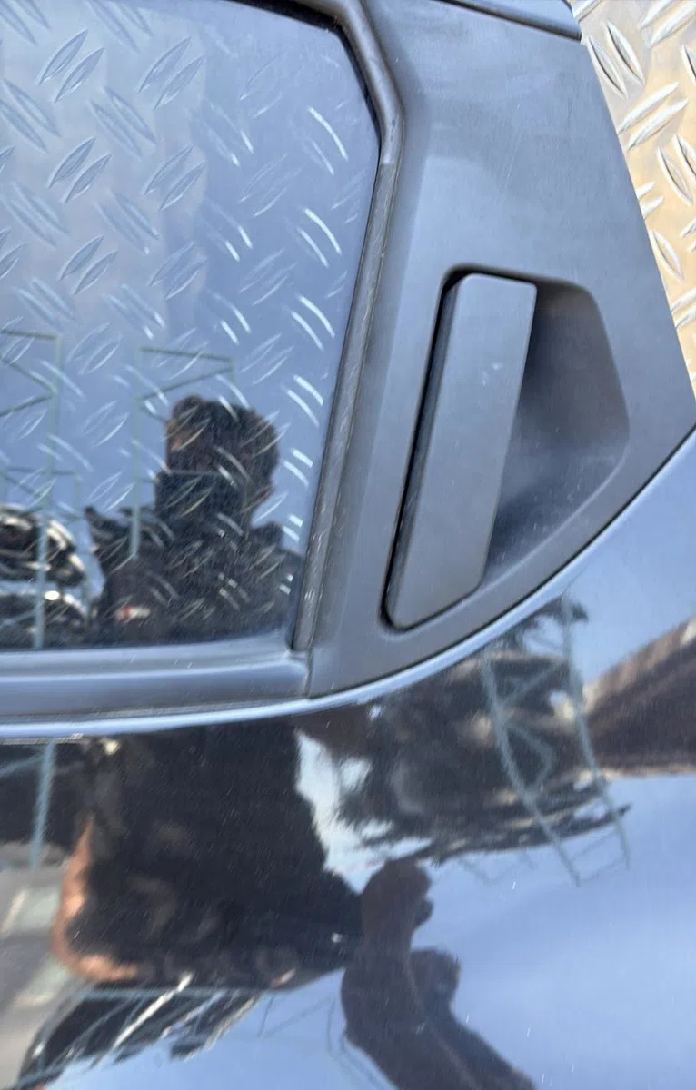 Porte arrière gauche Nissan JUKE (F15) 1.5 dci (2010) 5 portes occasion