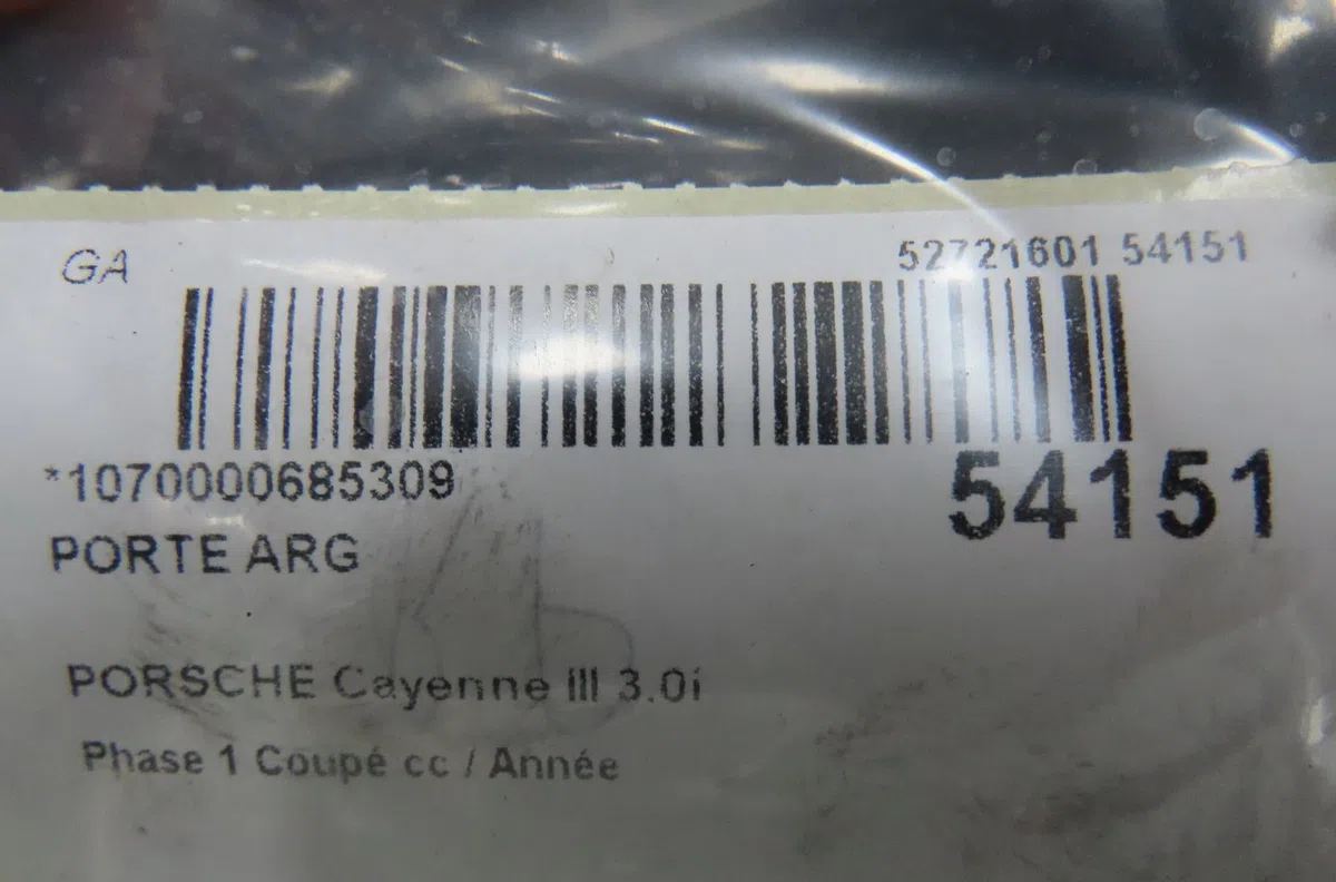 Porte arrière gauche Porsche CAYENNE (9YA) 3.0 e-hybrid awd (9yaae1) (2019) occasion