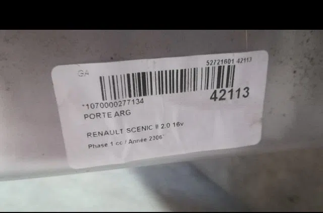Porte arrière gauche Renault GRAND SCÉNIC II (JM0-1_) 2.0 (2004-2009) occasion