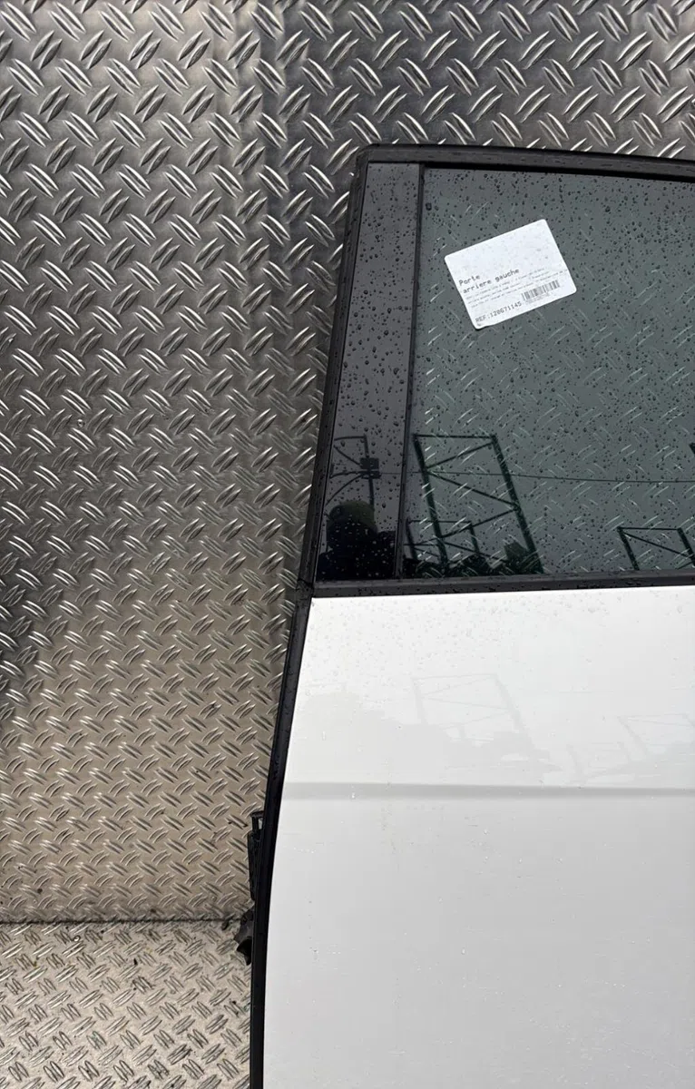 Porte arrière gauche Seat LEON (5F1) 2.0 tdi (2012-2020) occasion
