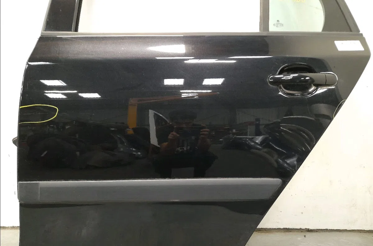 Porte arrière gauche SKODA FABIA occasion