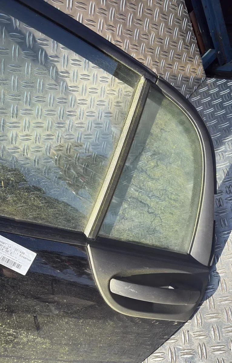Porte arrière gauche Smart FORFOUR (454) 1.1 (454.030) (2004-2006) occasion