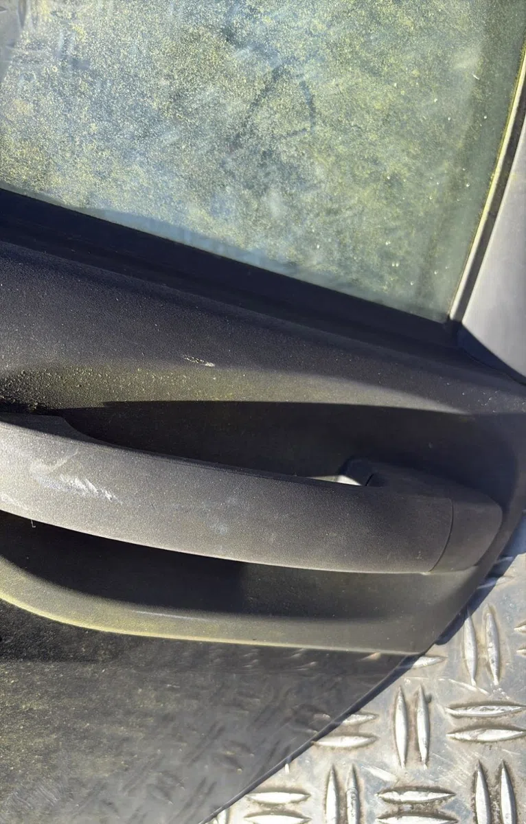 Porte arrière gauche Smart FORFOUR (454) 1.1 (454.030) (2004-2006) occasion