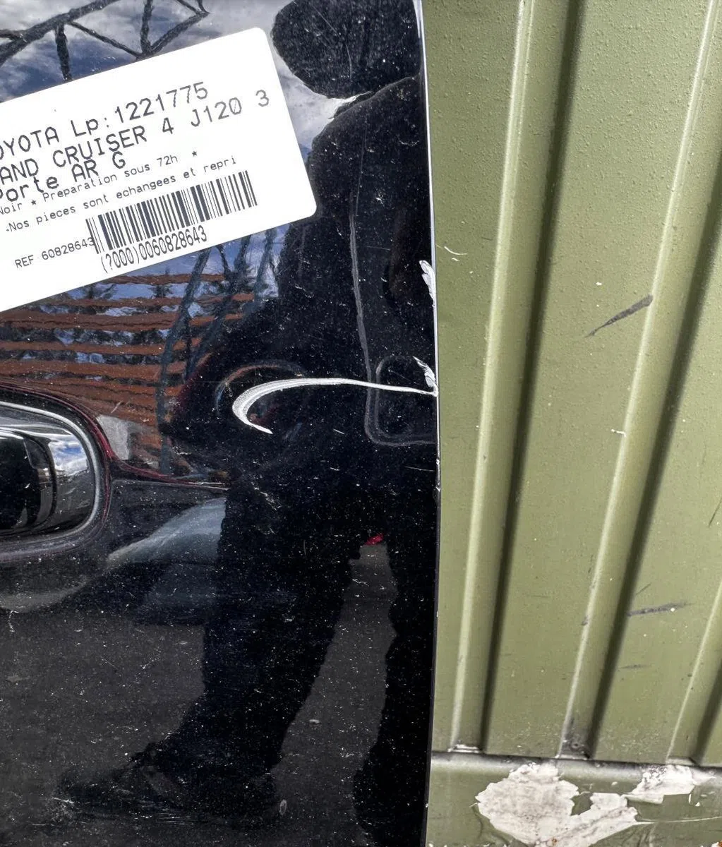 Porte arrière gauche Toyota LAND CRUISER PRADO (_J12_) 3.0 d-4d (kdj120, kdj125) (2002-2009) occasion