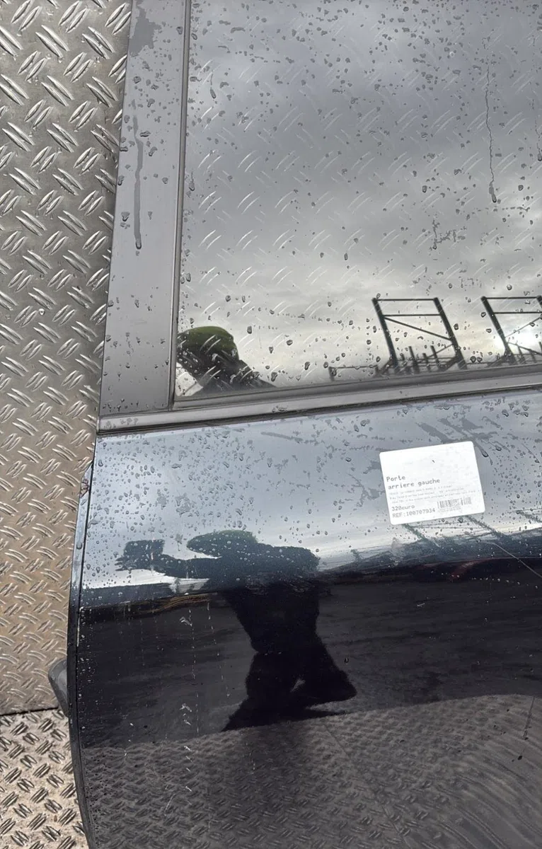 Porte arrière gauche Toyota RAV 4 III (_A3_) 2.2 d (ala35_) (2008-2013) occasion