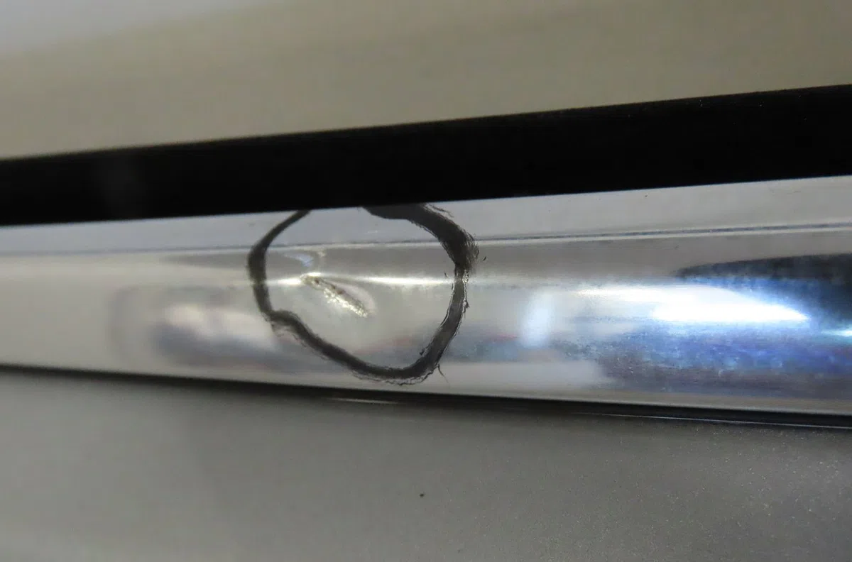Porte avant droite Bmw 3 (E46) 330 xd (2000-2003) occasion
